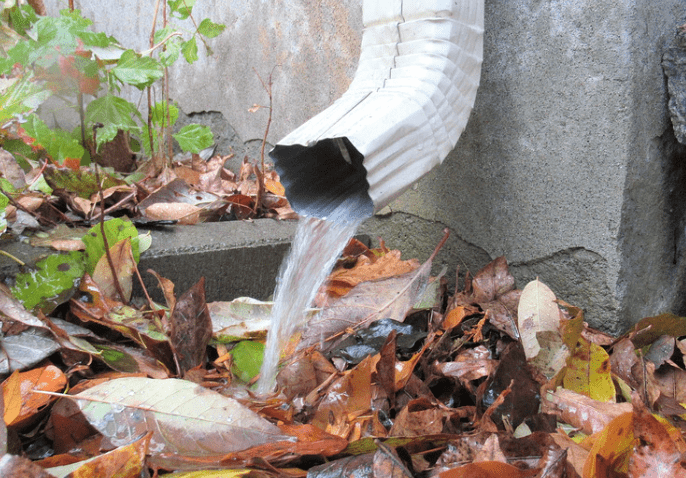 Water pouring out of a down spout onto some leaves.