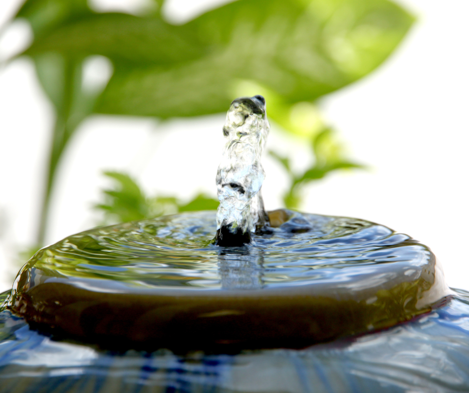 Water Fountain